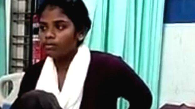 wild-elephent-attack wild-elephent-attack