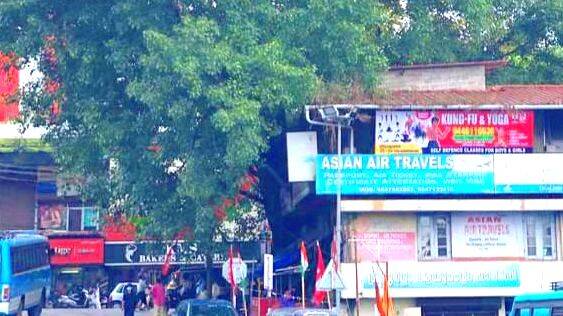 baniyan-tree baniyan-tree