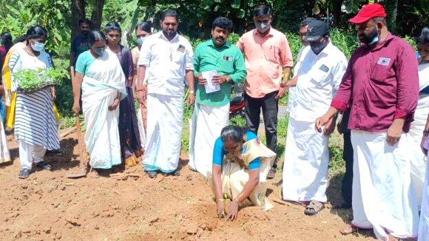 ctnr-padam ctnr-padam