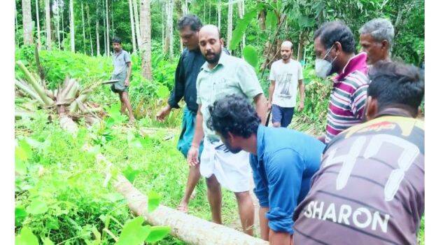 4th-vardil 4th-vardil