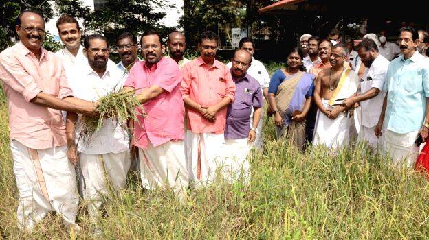 villavedup villavedup