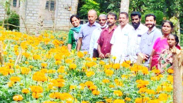 benthi-poo benthi-poo