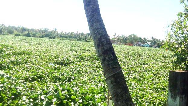 pola-kayal pola-kayal