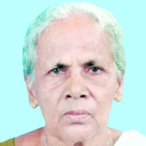 narayani narayani