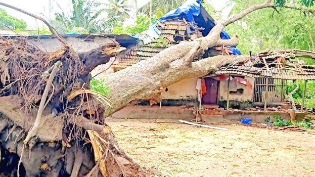 maram-house maram-house