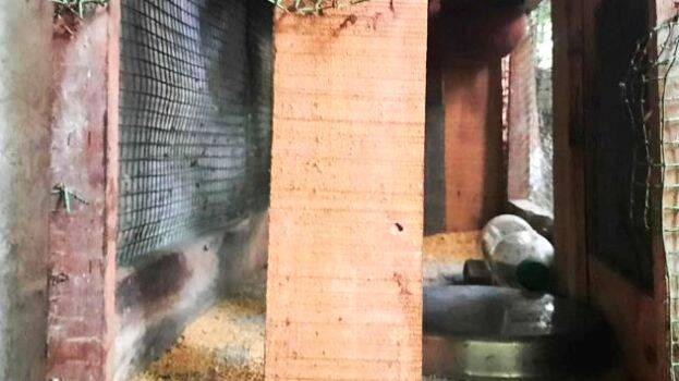 pakshikkoot pakshikkoot