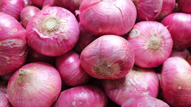 onion onion