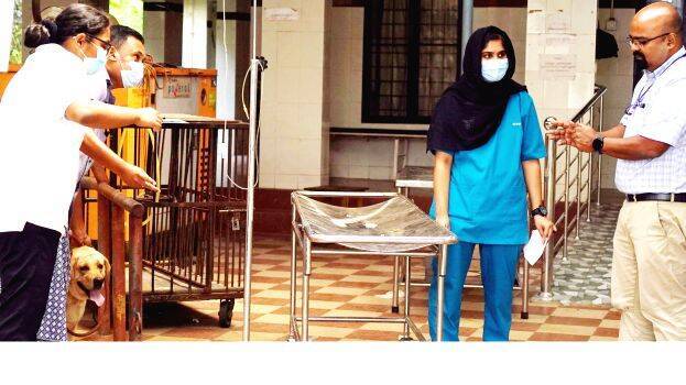 jaison-george jaison-george