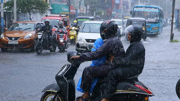 rain