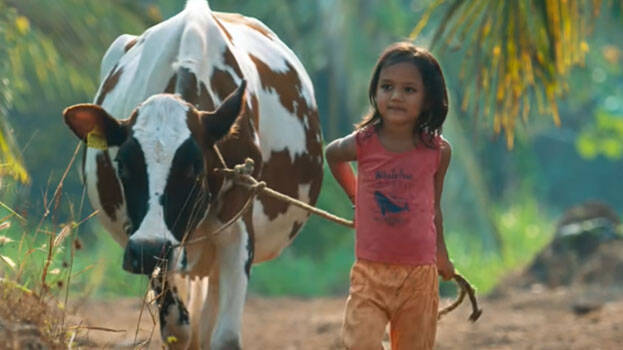 palthu-janwar palthu-janwar