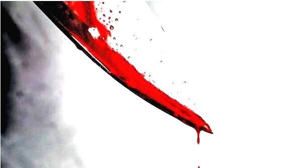 case-diary- case-diary-