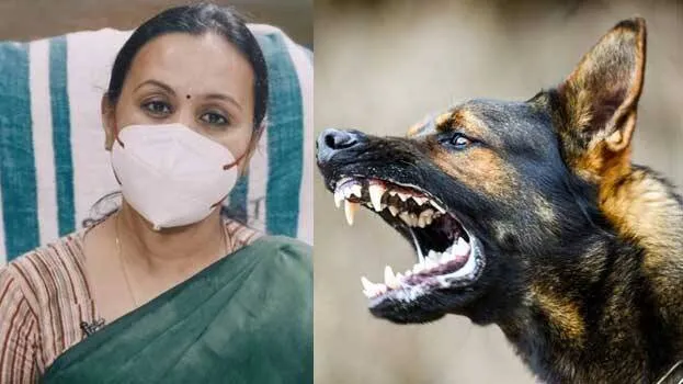 veena-george