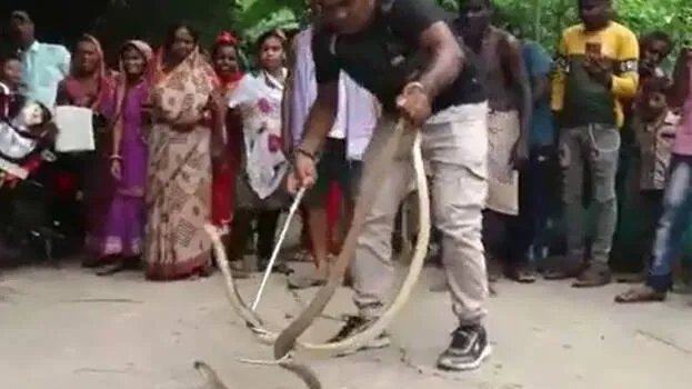 snake1