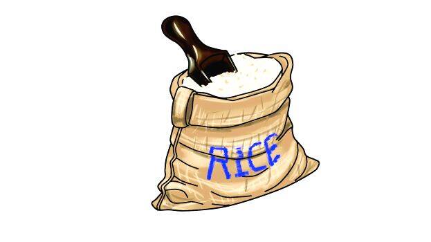 rice rice