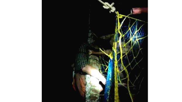 13-coconut-man 13-coconut-man