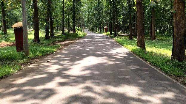 kalleli-achankovil-road