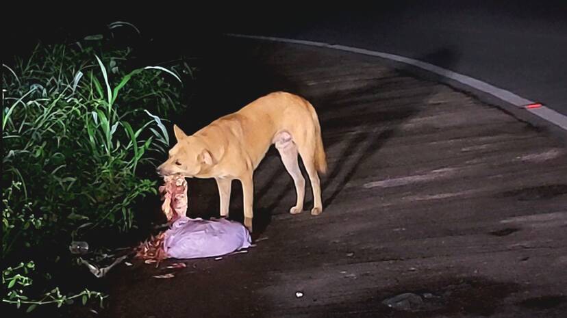 aravu-maalinyam aravu-maalinyam