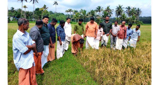 kunnathoor- kunnathoor-