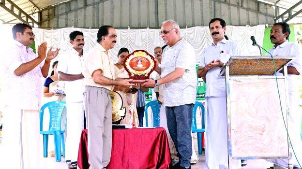 medical-store medical-store