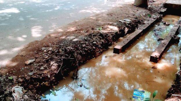 vellakkettu vellakkettu