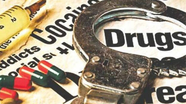 pink-police pink-police