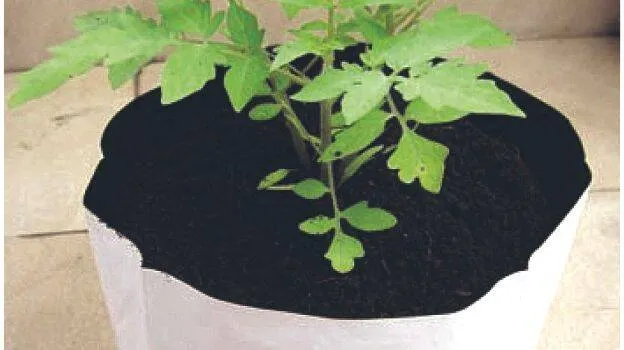 grow-bag