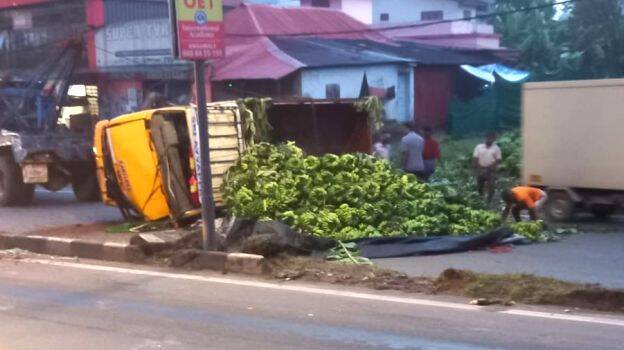 mini-lorry mini-lorry