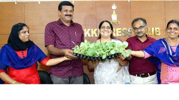 pachakkari pachakkari