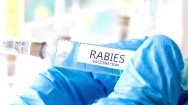 rabies-vaccine
