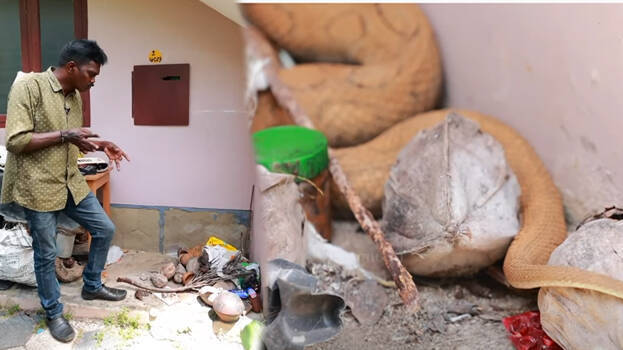 vava-suresh vava-suresh