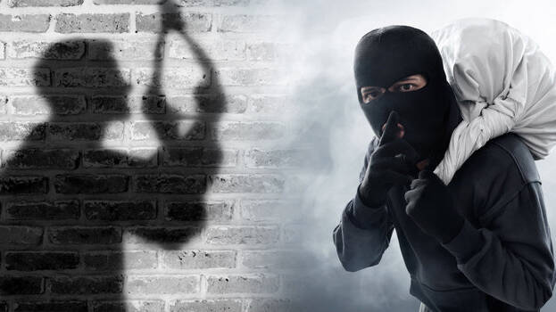 theft-case- theft-case-