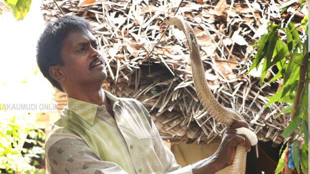 vava-suresh vava-suresh