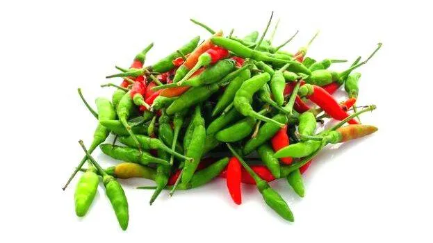 chilli