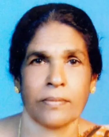 amnini