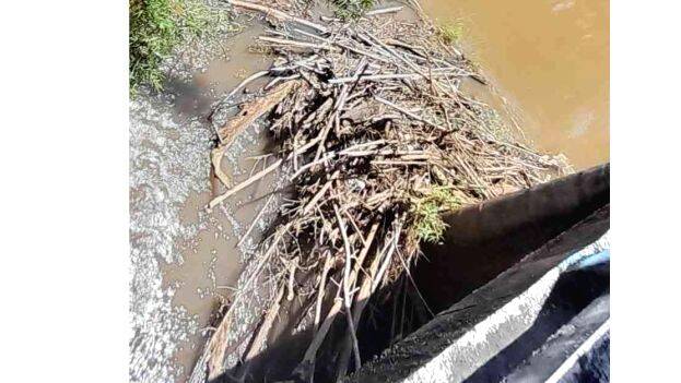 17-ambalakadav-palam 17-ambalakadav-palam