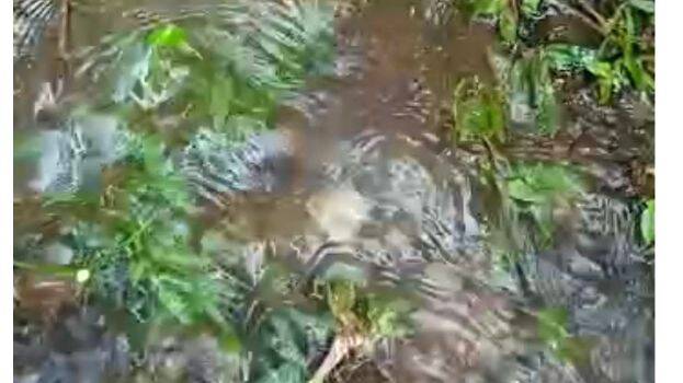 drinking-water drinking-water