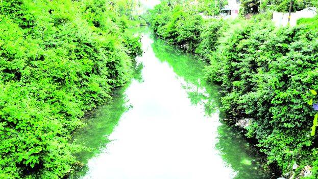 maniyankulam maniyankulam