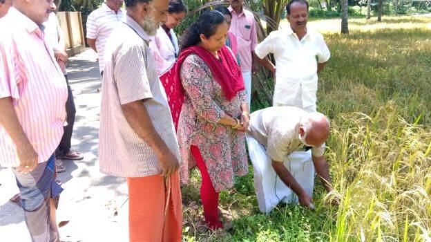 chavara-koyittu chavara-koyittu