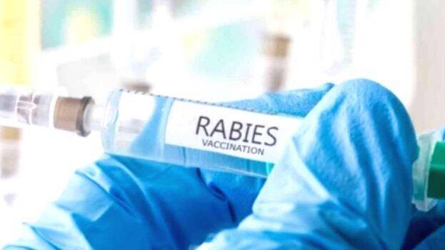 rabis-vaccine