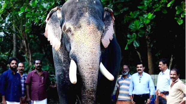 kunnathoor-ramu kunnathoor-ramu