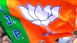 bjp-p