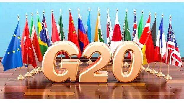 g-20