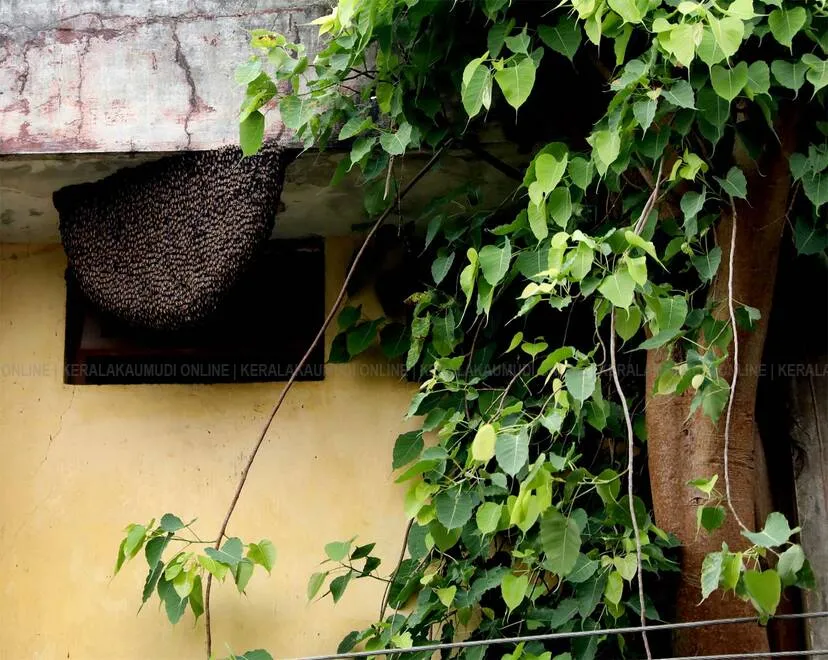 Kerala Kaumudi Photo Gallery