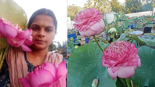 santhi-jayakumar santhi-jayakumar