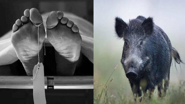 george-kutty george-kutty