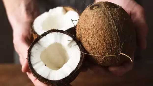 coconut coconut