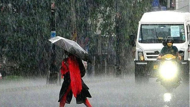 rain