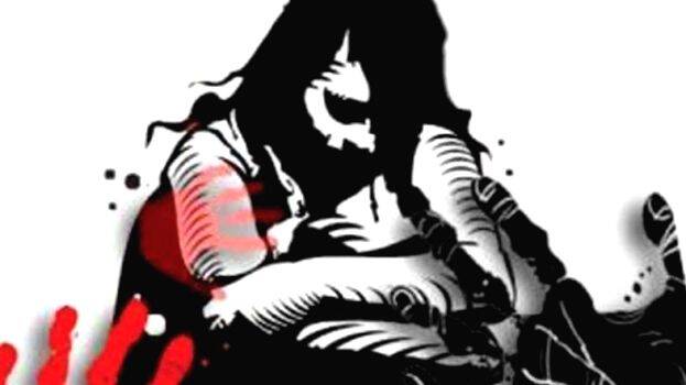 case-diary- case-diary-