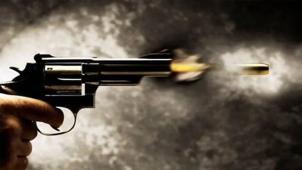 gun