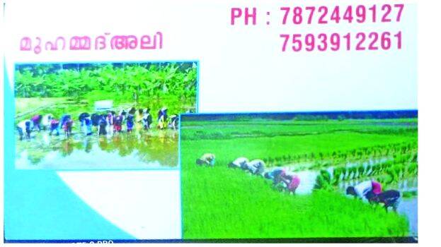 visiting-card visiting-card